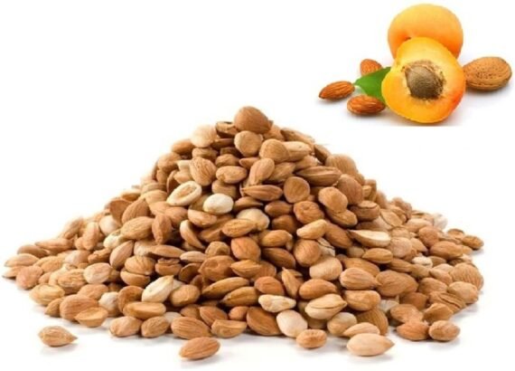 Himalayan Apricot Bitter Seed- Sourced From Himalaya