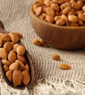 bitter_apricot_seeds-Made In Himachal bitter_apricot_seeds-Made In Himachal